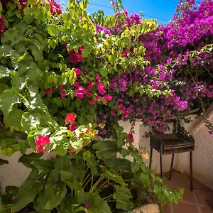 Pinos 2 , Nerja Spain